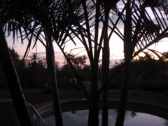 the pool at sunset