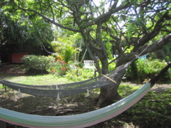 hamacas