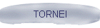 ATTIVITA'