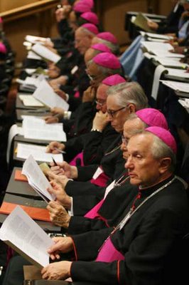 vescovi riuniti in sinodo