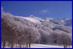 Hotel Stagnaro- Cavi di Lavagna