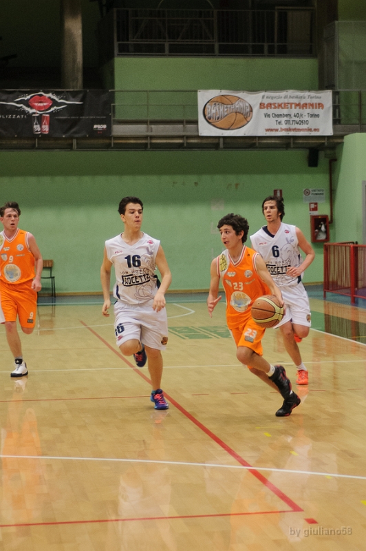Crocetta-15