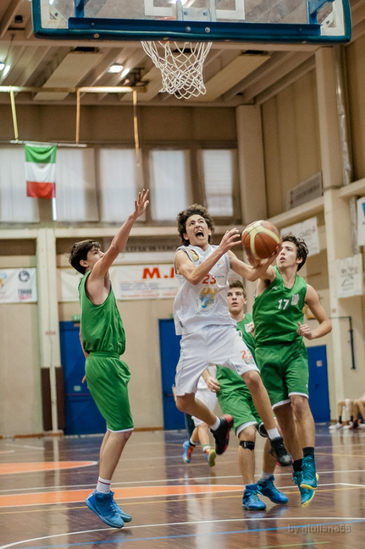vercelli-28