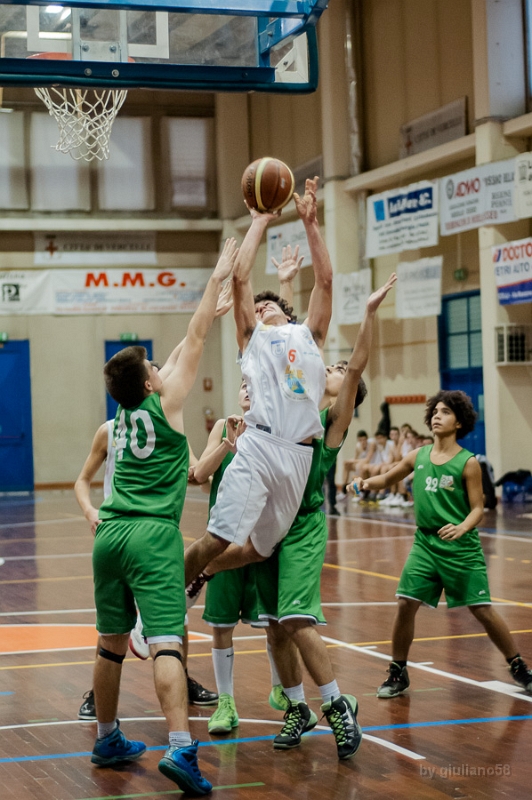 vercelli-40